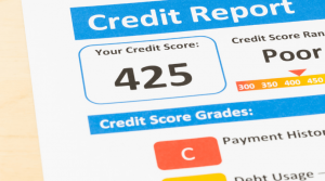 Credit Report